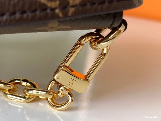 TRUNK LOUIS POCHETTE VERTICAL VUITTON 0509